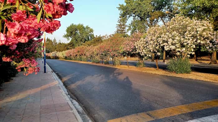 بلوار شهرک دریاکنار